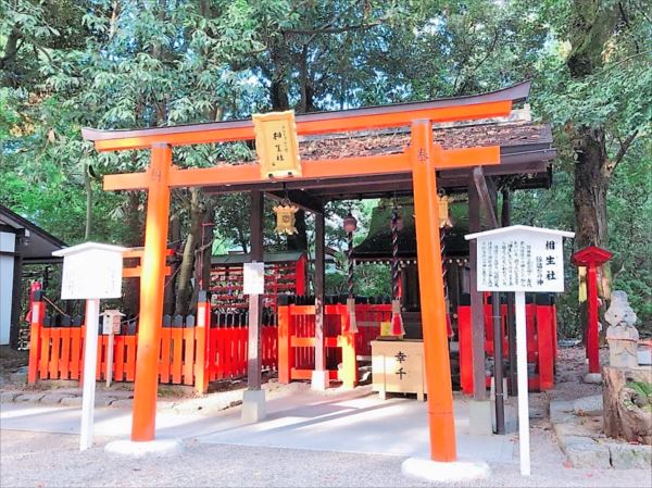 相生社 下鴨神社の境内にある連理の賢木が京都随一の縁結びパワースポット ご利益本舗 Goriyaku San 関西版